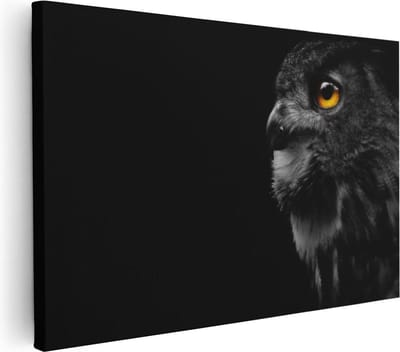 Artaza Canvas Schilderij Dierenkop Uil - 30x20 cm - Klein - Muurdecoratie Vogel - Wanddecoratie Dierenkop - Kamer Accessoires Woonkamer