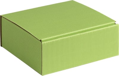 Geschenkdoos ribbelkarton 15x14x5,5cm LICHTGROEN (100 stuks)