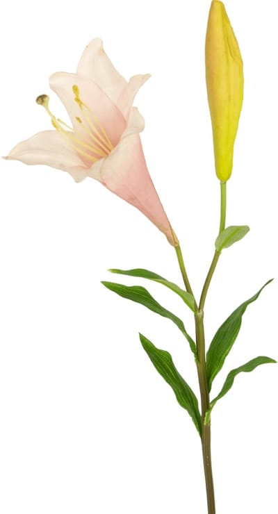 Easyplants | Kunstbloem exotische lelie 74 cm roze | Zijde | Nepbloemen | roze | Onderhoudsvrij | Kant-en-klaar