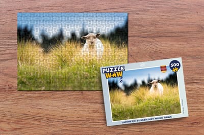 Puzzel Lammetje tussen het hoge gras - Legpuzzel - Puzzel 500 stukjes