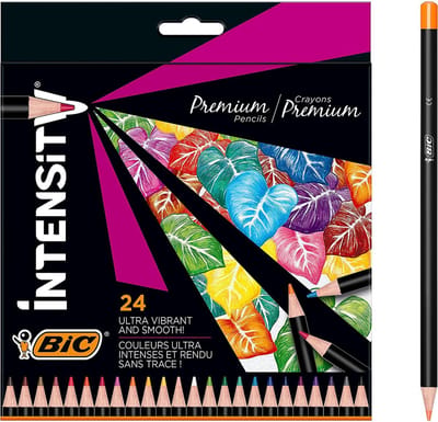 BIC Intensity Premium - Kleurpotloden - Kinderen en volwassenen - Grijs - Potlood - 24 Stuks