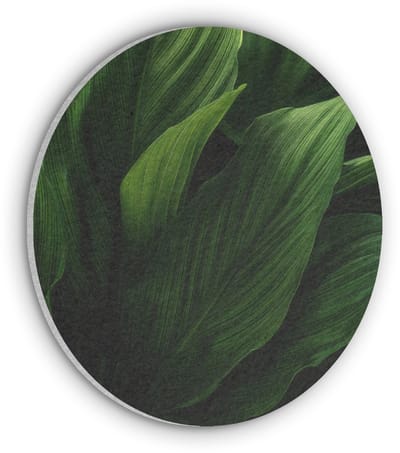 Akoestisch wandpaneel rond 50x50 cm - Vilt schilderij Bladeren - Schaduw - Groen - Textuur - Ronde akoestische panelen - Geluidsdempende wanddecoratie - Geluidsisolatie wandcirkel - Muurdecoratie geluidspanelen