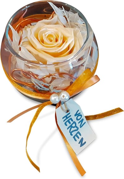 Eeuwige Roos - Gepreserveerde Bloem - Decoratie Huis - Echte Roos Gestabiliseerd - 11 cm Hoog - Abrikoos