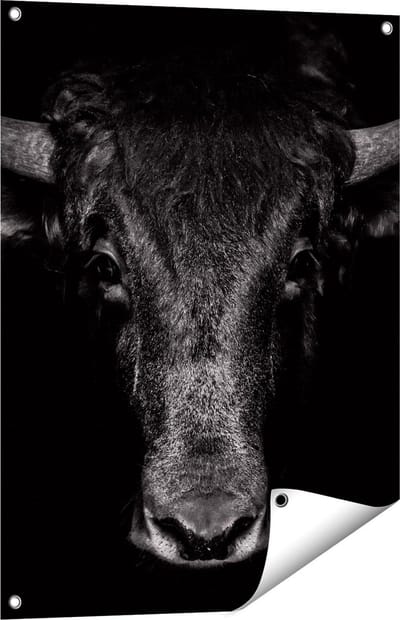 Gards Tuinposter Stierenkop - Stier - Zwart Wit - 60x80 cm - Tuindoek - Tuindecoratie - Wanddecoratie buiten - Tuinschilderij