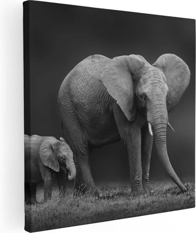 Artaza Canvas Schilderij Olifant - 80x80 cm - Wanddecoratie Dieren - Muurdecoratie Olifant Met Baby - Schilderijen Op Canvas Zwart Wit