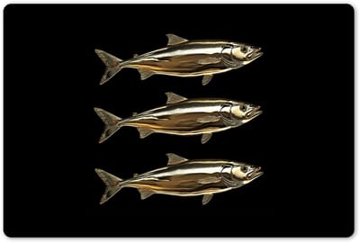 Placemats 45x30 cm - Placemat kunststof - 1 stuk - Vissen - Goud - Zwart - Borden onderleggers - Decoratie voor op tafel - Keuken tafeldecoratie accessoires - Vinyl onderlegger - Tafelversiering
