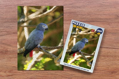 Puzzel Een grijze roodstaart op een tak - Legpuzzel - Puzzel 500 stukjes