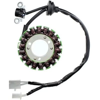 Originele aanpasbare motor dynamo Electrosport Yamaha