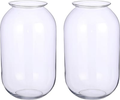 Set van 2x stuks mica decorations bloemenvaas- transparant - van glas - d19 x h30 cm - boeketten - siertakken - 8.5 liter