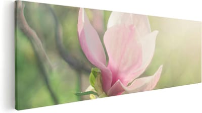 Artaza Canvas Schilderij Bloesem - 60x20 cm - Wanddecoratie Bloemen Roze - Muurdecoratie Natuur - Kamer Accessoires Lente