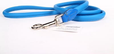 Dog's Companion - Leren Hondenriem - Lengte: 120 cm x 12 mm - Blauw