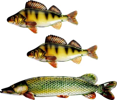 Eurocatch Snoek & Baars Wanddecoset - Muurdecoratie - 90cm - 3-D Metaal en Glas - Kunst - Cadeau Tip - Vaderdag Cadeau