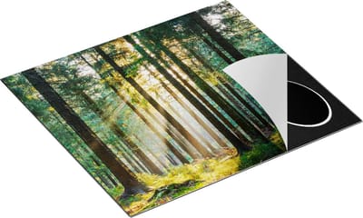Chefcare Inductie Beschermer Bos met Zon tussen de Bomen - 60x50 cm - Afdekplaat Inductie - Kookplaat Beschermer - Inductie Mat