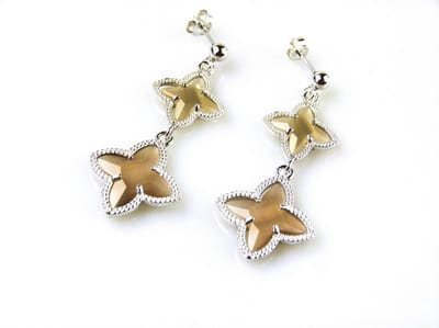 model 2 Stars oorringen in zilver bruine sterren
