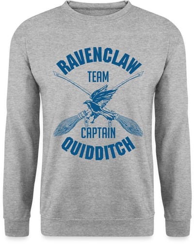 Harry Potter Ravenclaw Quidditch Sweater Heren