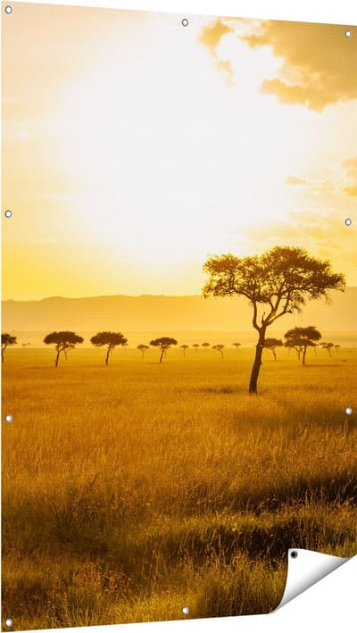 Gards Tuinposter Zonsondergang in de Savanne - 100x150 cm - Tuindoek - Tuindecoratie - Wanddecoratie buiten - Tuinschilderij