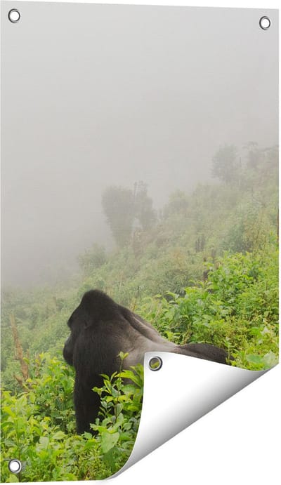 Gards Tuinposter Gorilla in het Woud tijdens de Mist - 40x60 cm - Tuindoek - Tuindecoratie - Wanddecoratie buiten - Tuinschilderij