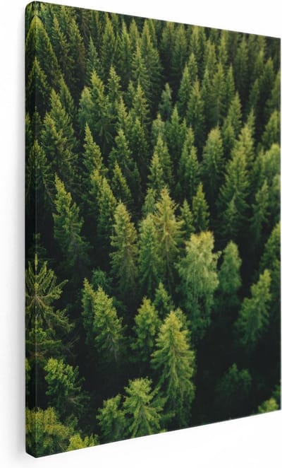 Artaza Canvas Schilderij Bomen - 30x40 cm - Klein - Wanddecoratie Bos Vanuit De Lucht - Muurdecoratie Natuur - Kamer Accessoires Landschap
