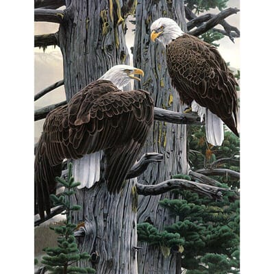 Volledige ronde 5D DIY diamant borduurwerk Eagle Brother Diamond schilderij kruissteek strass 20X30CM gray
