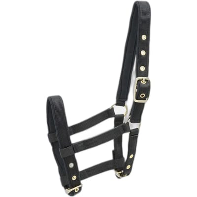 Nylon hoofdstel voor paard Kieffer