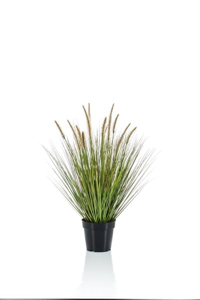 Emerald - Kunstplant Pennisetum Gras 71cm - Kunstplant voor binnen
