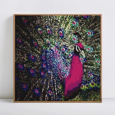 Diamant peinture animaux photo perles strass paon diamant broderie 30x30 gray