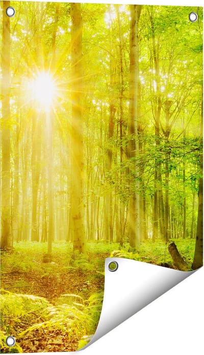 Gards Tuinposter Groen Bos met Schijnende Zonnestralen - 40x60 cm - Tuindoek - Tuindecoratie - Wanddecoratie buiten - Tuinschilderij