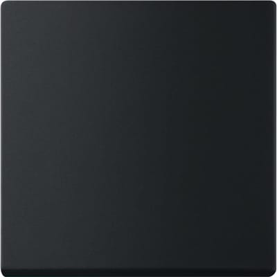 ABB Toekomst Lineaire Slimme Schakelaar Afdekking Matte Zwart - 2CKA006730A0150