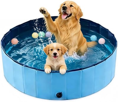Hondenzwembad Opvouwbaar - Hondenbad - Buiten Spelen - Krasbestendig PVC - Diameter 160cm - Blauw