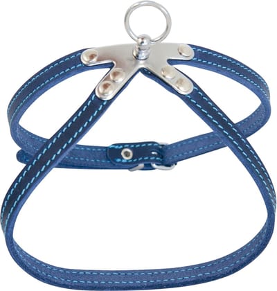 Jack And Vanilla - Tuigen - Jv Vetleder Springtuigje Blauw-10mmx45cm 47/0024 - 229363