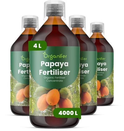 Vloeibare Meststof Voor Papaja 4X1 L Voor 4000 L - Npk 2-1-8 - Ondersteunt Sterke Bloei En Een Hoogwaardige Vruchtzetting - Verbetert De Vruchtkleur - Zoetheid En Interne Textuur - Bevordert Langdurige Vitaliteit En Productieve Groeicycli - Organifer