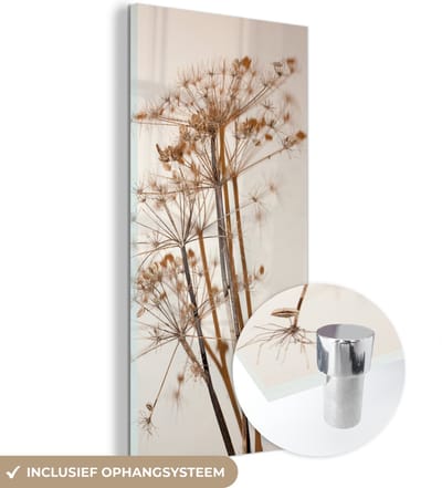 Glasschilderij bloemen - Droogbloemen - Planten - Stilleven - Bruin - Glas decoratie - Glasplaat - Wanddecoratie glas - 40x80 cm - Woonkamer decoratie - Foto op glas - Schilderij glas - Glasschilderijen