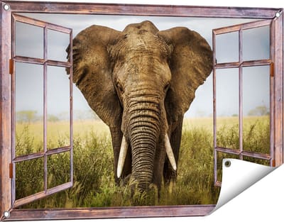 Gards Tuinposter Doorkijk Olifant in het Wild - Kleur - 90x60 cm - Tuindoek - Tuindecoratie - Wanddecoratie buiten - Tuinschilderij