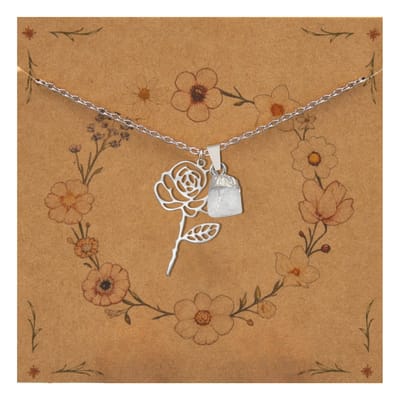 Bixorp Geboortebloem + Geboortesteen Ketting Juni - Roos & Maansteen - Zilverkleurig Stainless Steel - Bloem & Ruwe Edelsteen Hanger - 45+5cm