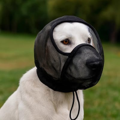 Muilkorf voor honden -Maat S-- Anti-blafbescherming van gaas - Ademende muilkorf voor middelgrote honden - voor kleine, middelgrote en grote puppy's - voor thuis, op reis, wandelen, buitenactiviteiten, kamperen, dierenartsbezoek.