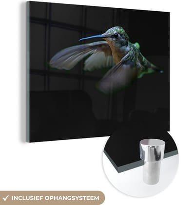 MuchoWow® Glasschilderij 160x120 cm - Schilderij acrylglas - Kolibrie - Vogel - Veren - Zwart - Foto op glas - Schilderijen
