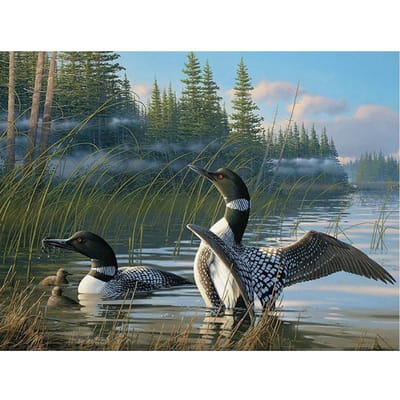 Peinture diamant 5d canard mandarin Rubik's Cube, broderie artisanale, Art mural coloré 20X30CM gray