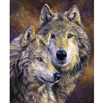 5D bricolage diamant peinture loup amoureux peinture animale broderie diamant peinture point de croix 20X30CM gray