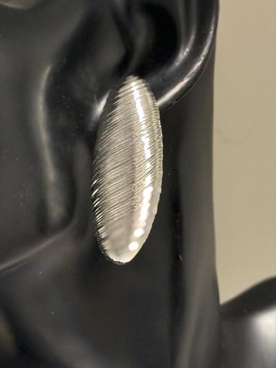 Zilverkleurige oorstekers langwerpig | | Make up | Parfum | Moederdag | Verjaardagscadeau| Cadeautje| Valentijnsdag| Kado | sieraden | vaderdag | oorbellen | oorsieraden
