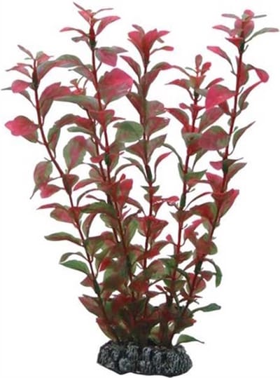 Hobby Plant Ludwigia 60CM