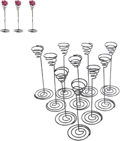 Luchtplantenstandaarden - Tillandsia Houders - Planten Decoratie - Hol Design - 10 Stuks - Zwart