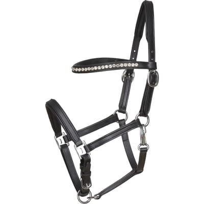 Leren halster voor paarden HorseGuard