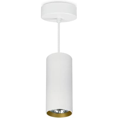 Hanglamp Indeluz lighting Hidra Phase cut L COB CRI90 2700K/3000K/4000K 24º