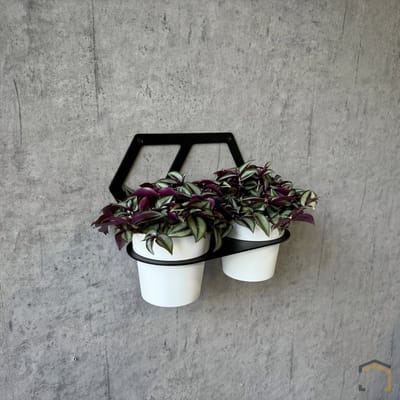 Industriële Plantenhouder voor aan de Muur – Dubbel Ø12,5 cm | Zeskant | Zwart Gecoat Staal | Weterings Store