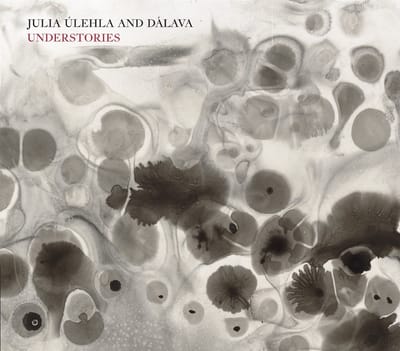 Julia Ulehla & Davala - Understories (CD)