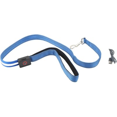 LED Hondentuig 1.2M Nylon   Glow in the Dark Hondentuig USB Oplaadbaar Verlicht Huisdier Touw voor Nachtwandelingen