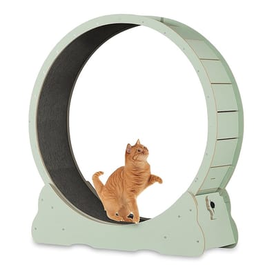 BlueTime - Loopwiel Kat - Katten Loopwiel - Nu inclusief kattenrugzak! - Looprad Kat - Kattenspeelgoed - Katten Speelgoed - Krabpaal - Katten Wiel - Katten - XL Variant - Mintgroen