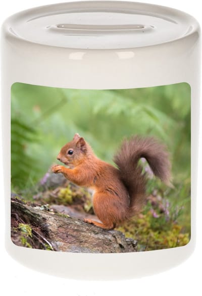 Dieren eekhoorntje foto spaarpot 9 cm jongens en meisjes - Cadeau spaarpotten eekhoorntjes liefhebber