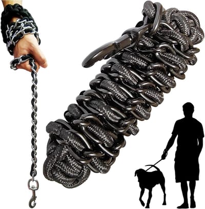 Degelijke Metalen Hondenriem en Halsband Set voor Grote en Middelgrote Honden