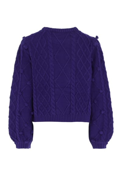 IZIA Jumper Dames blauw